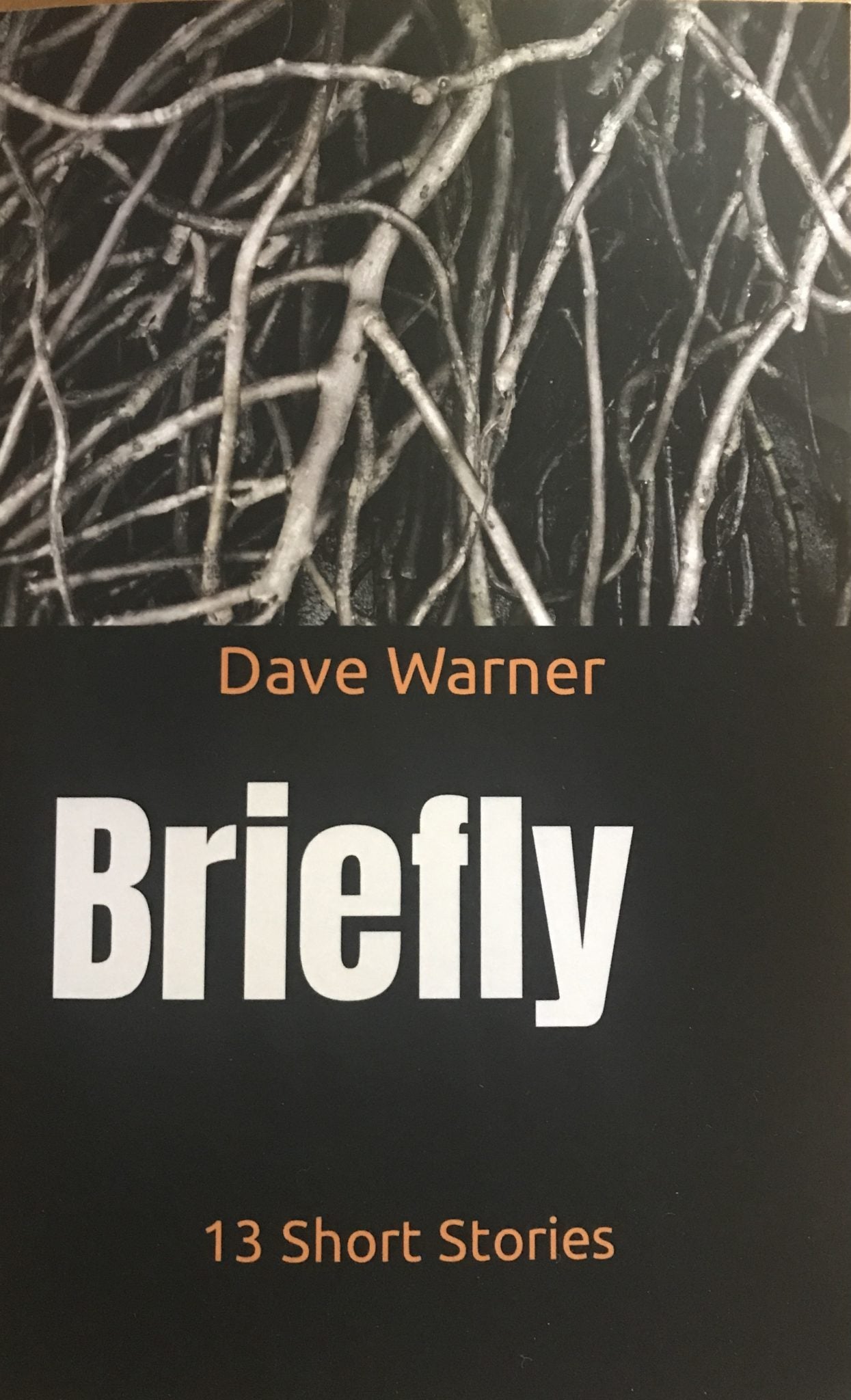 Briefly (13 Short Stories)